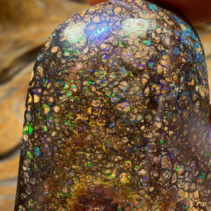 176cts - Large Tribal Queensland Boulder Opal from Yowah