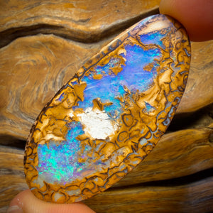 76.5cts - TOP Australian Boulder Opal from Yowah