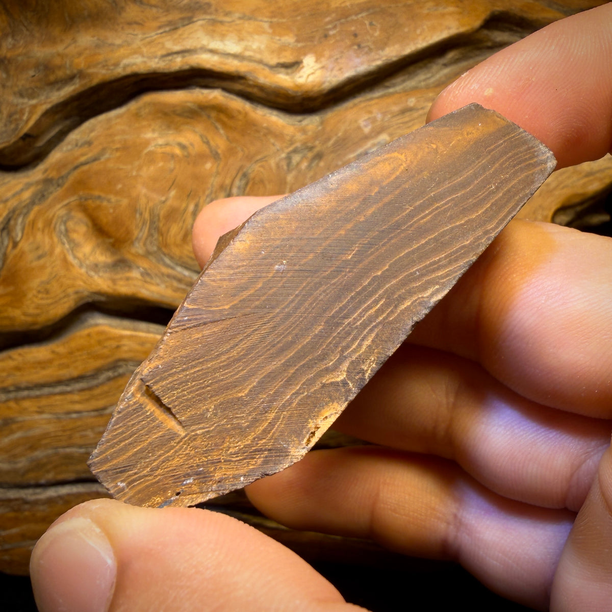 275.5cts - Australian Boulder Seam Opal Specimen Polished