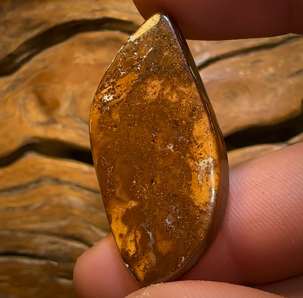 42.4cts - Queensland Boulder Opal Half Price