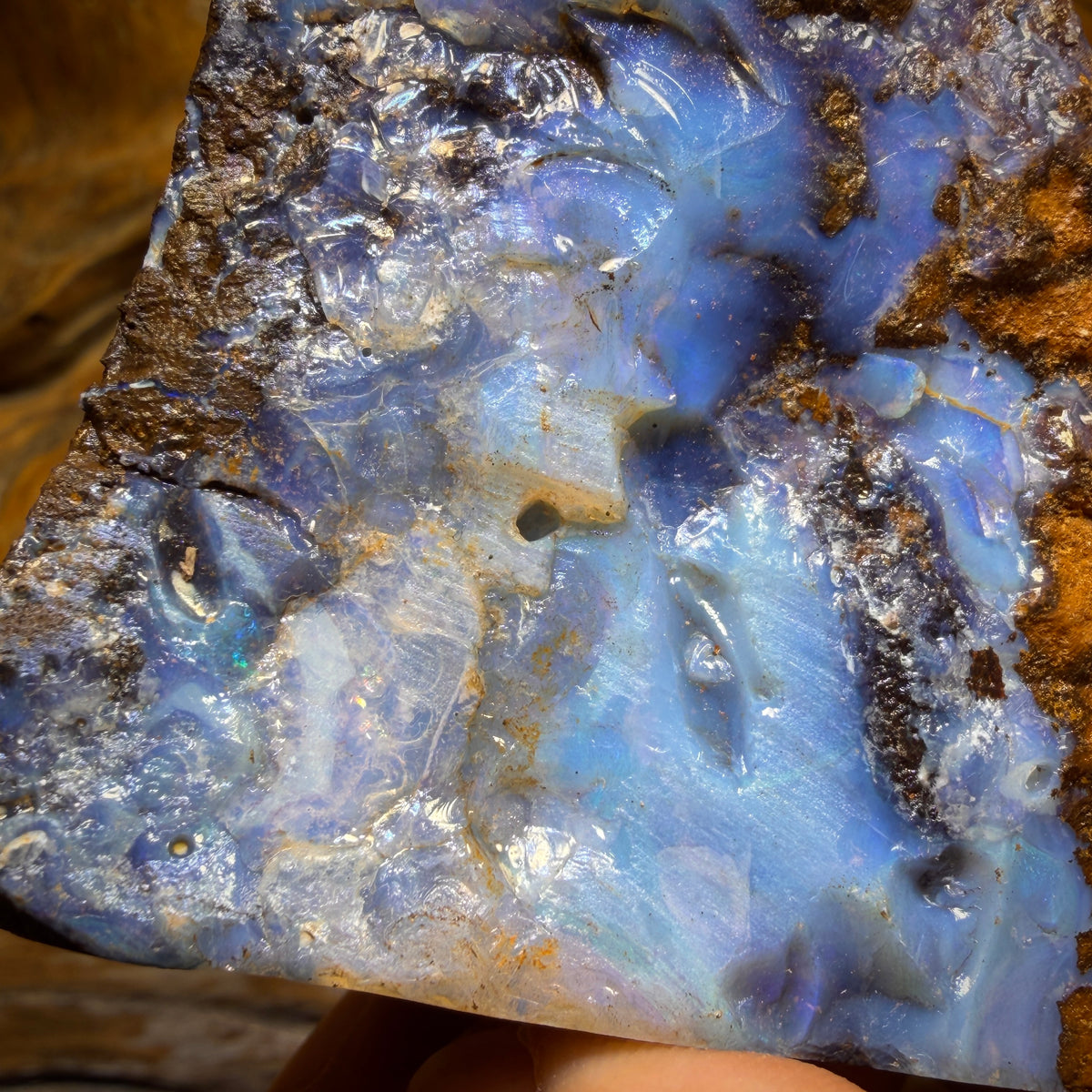 593cts - Massive Queensland Boulder Seam Opal Rough Piece