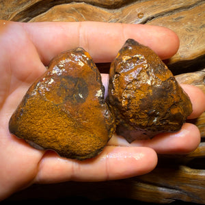 Roadshow Wildcard! 422cts - RARE Yowah Nut Kernel Opal Rough Specimen Pair