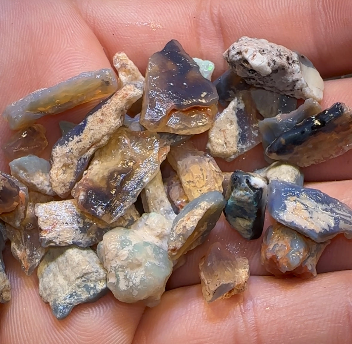 100cts - Lightning Ridge Fossil Rough Opal Specimen Parcels. BULK LISTING BARGAIN $2/Ct - Opal Whisperers