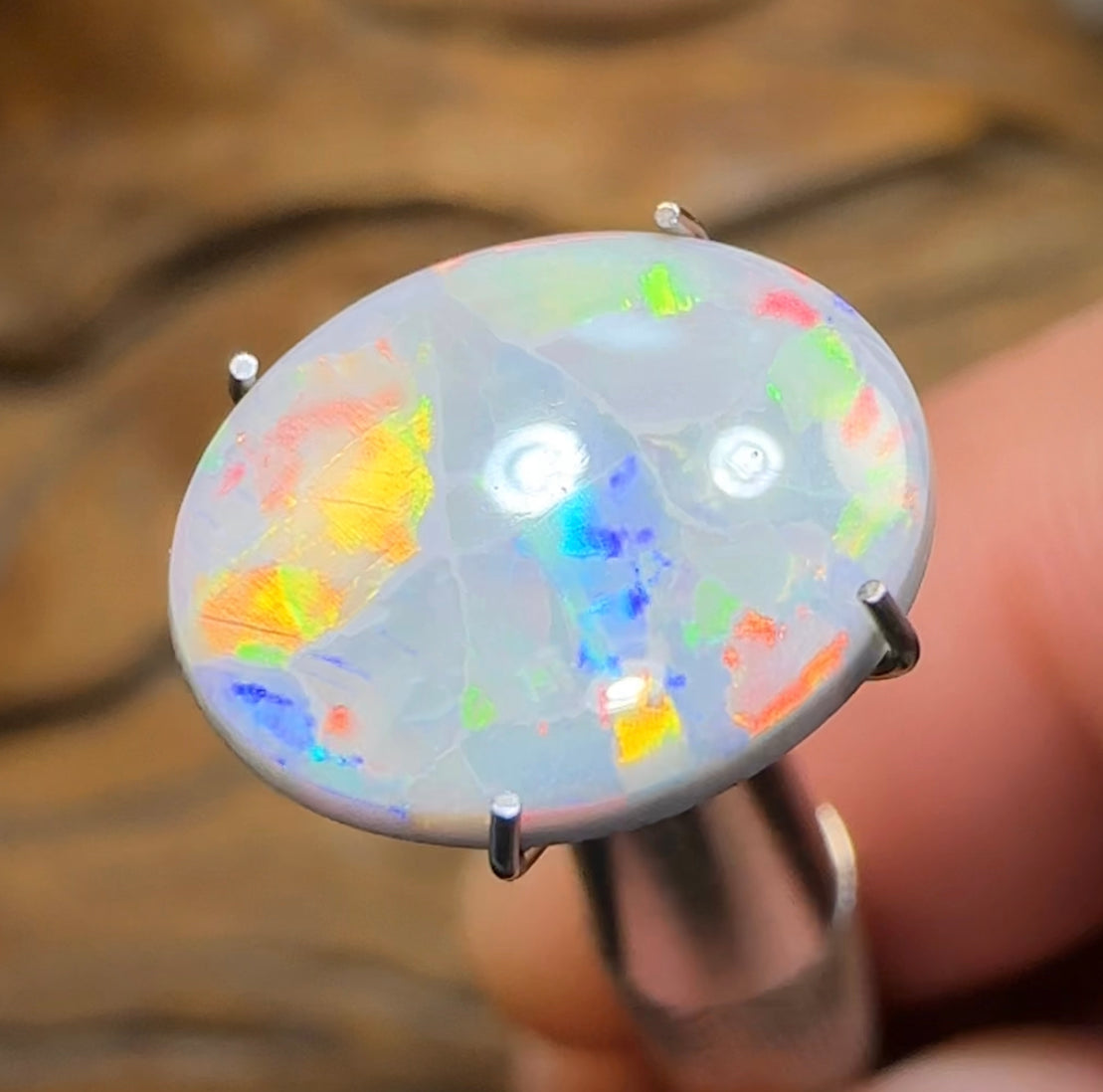 2.6cts - Australian Semi Black Opal from Lightning Ridge Flag / Harlequin type Pattern - Opal Whisperers