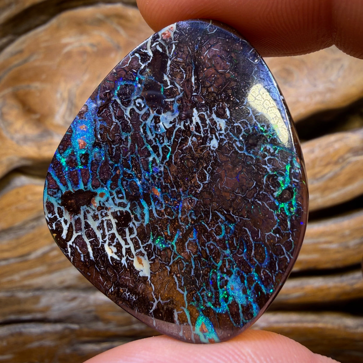 77.3cts - Tribal Queensland Boulder Opal from Yowah