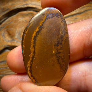 61.2cts - Top Queensland Boulder Opal from Yowah