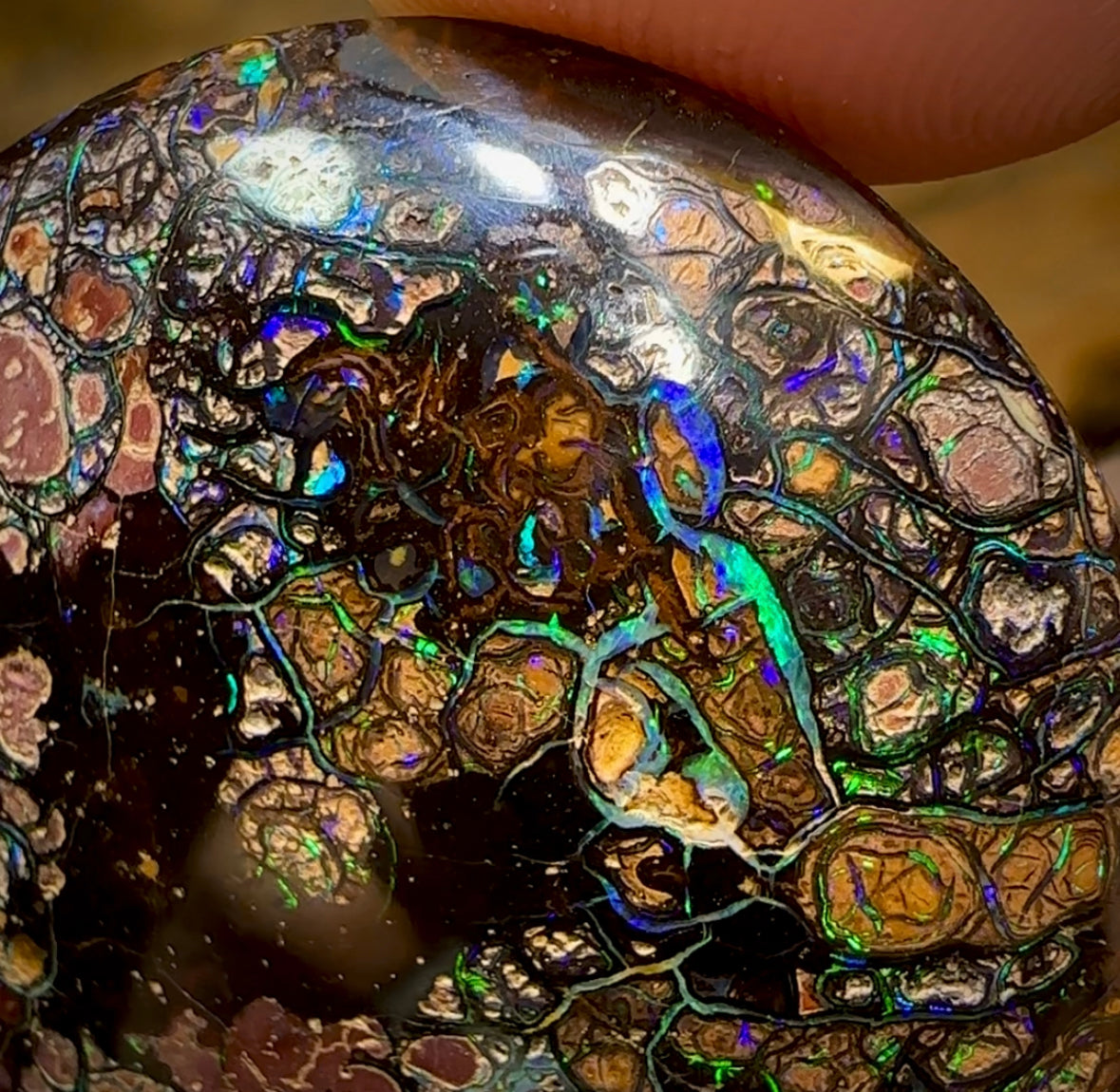 82.3cts - Australian Boulder Opal. Top Tight Tribal Pattern - Opal Whisperers