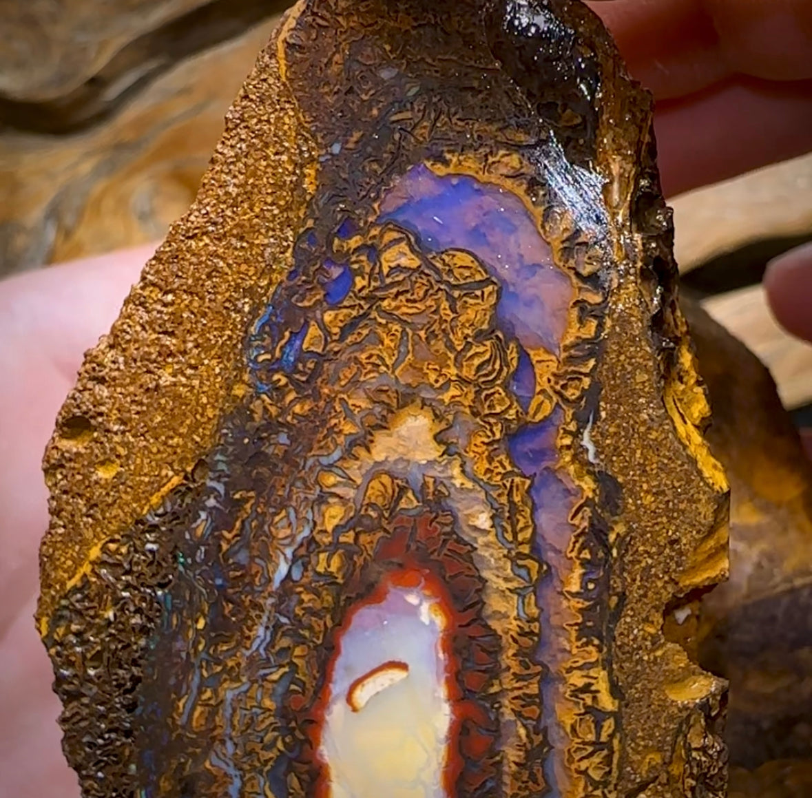 495.1cts - Yowah Nut Rough Specimen Pair. Australian Boulder Opal - Opal Whisperers