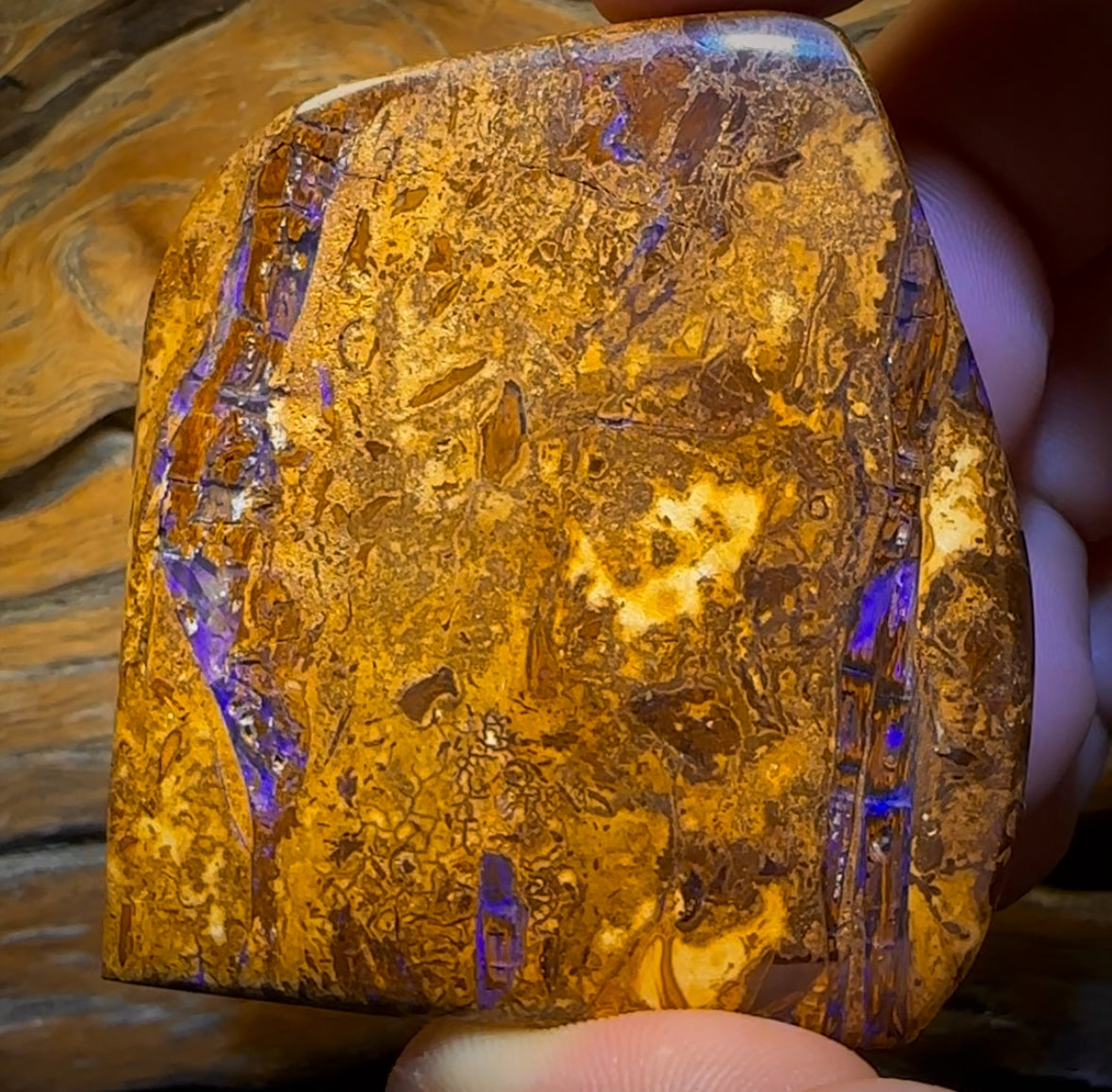 388cts - Large Australian Boulder Wood Fossil Opal Specimen
