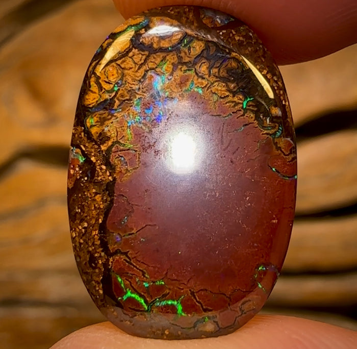 🔨 AUCTION 🔨 No Reserve 12.05cts - Tribal Queensland Boulder Opal from Yowah
