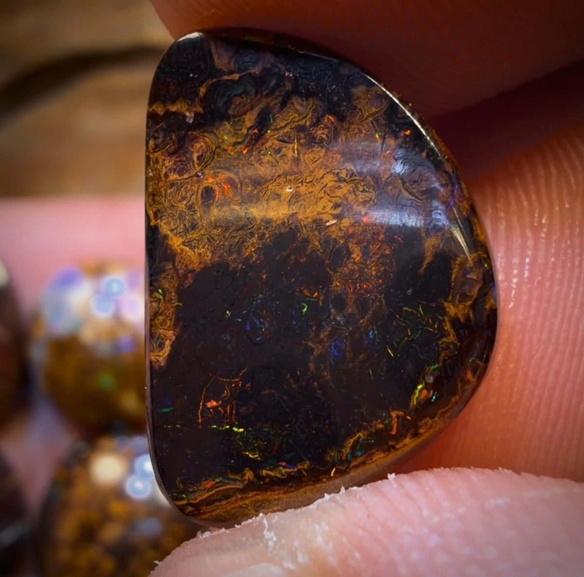 122.7cts - 10x Australian Tribal Boulder Opal’s. Wholesale Dealer’s Parcel