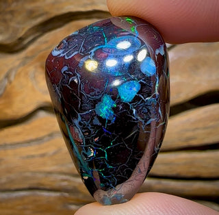 Spécimen d'opale Koroit polie, 113,2 ct