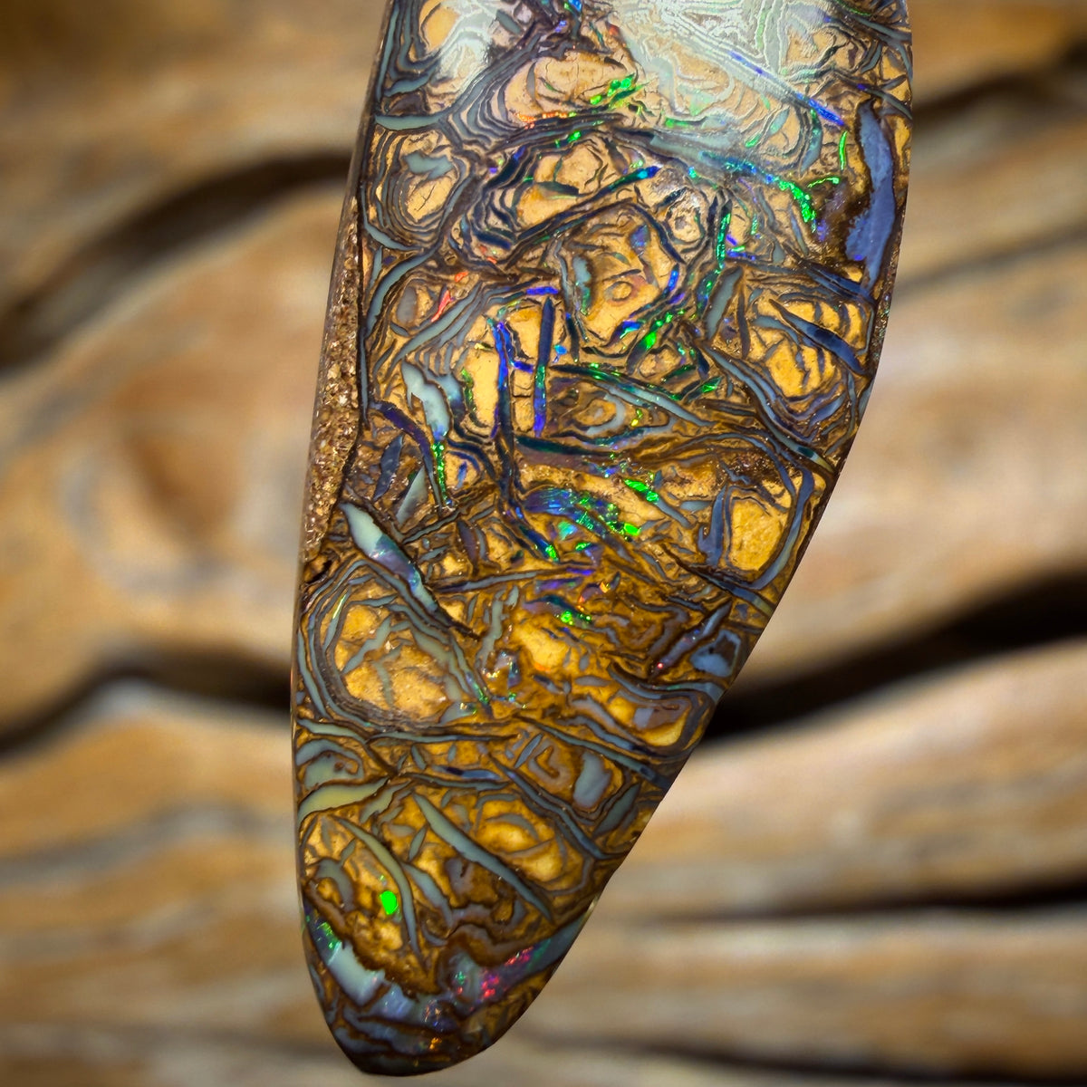 Solid Top Tan Tribal Tooth Queensland Boulder Opal Pendant