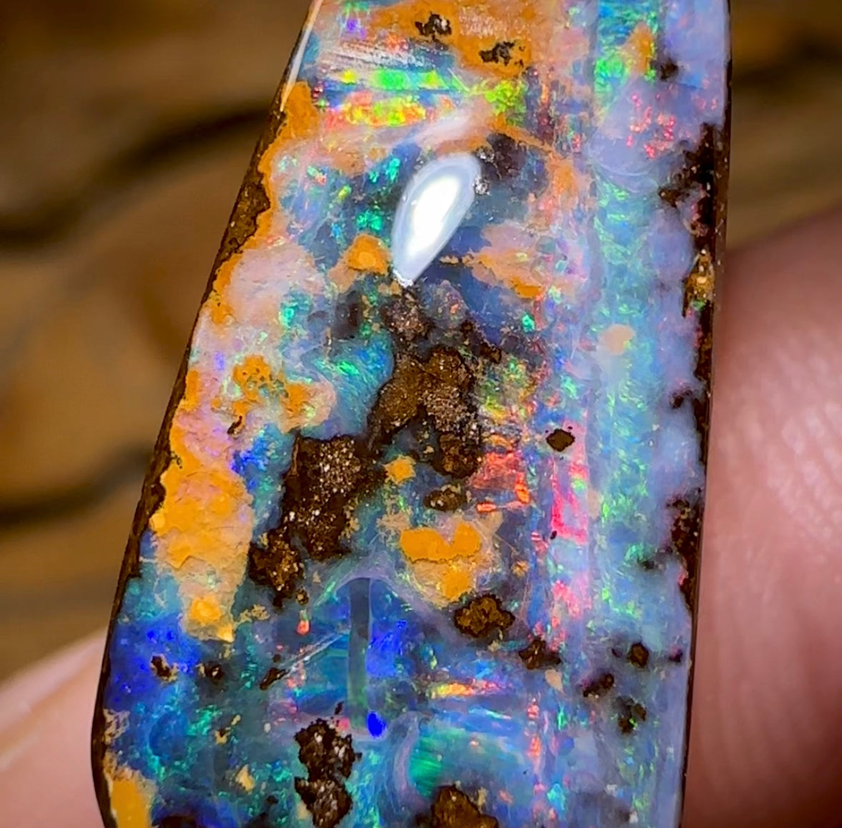 10.9cts - Red Miltifire Queensland Boulder Solid Opal from Winton - Opal Whisperers