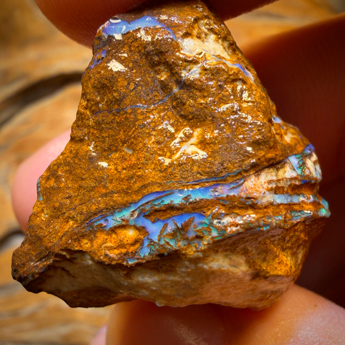 92.1cts - Vegetation Fossil Replacement Boulder Opal Rough Piece