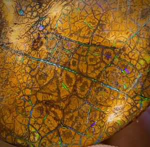 235cts - Tan Tribal Queensland Boulder Opal. Polished Specimen
