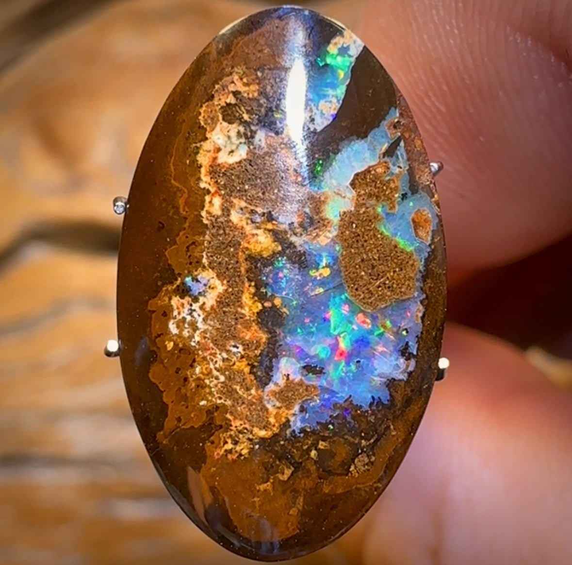 13.1cts - Australian Boulder Opal from Yowah