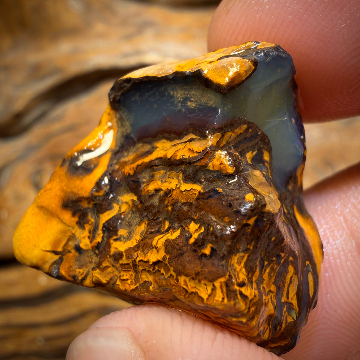 78.3cts - Yowah Nut Opal Rough Piece