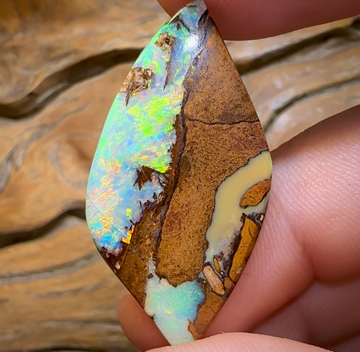 (Template) 24.1cts - Top Australian Boulder Wood Fossil Opal. Rare Cathedral Pattern - Opal Whisperers