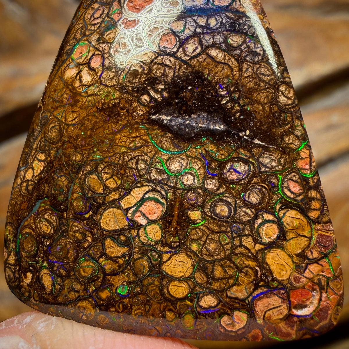 Bargain Card! 52.1cts - “Electric Swirls”Tight Tribal Queensland Boulder Opal from Yowah