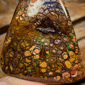 Bargain Card! 52.1cts - “Electric Swirls”Tight Tribal Queensland Boulder Opal from Yowah