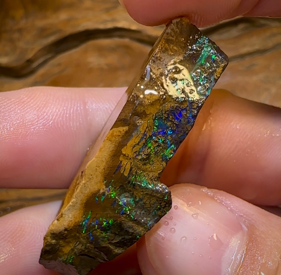 (Template) 93cts - Australian Boulder Opal Rough Piece. Bubble Band - Opal Whisperers