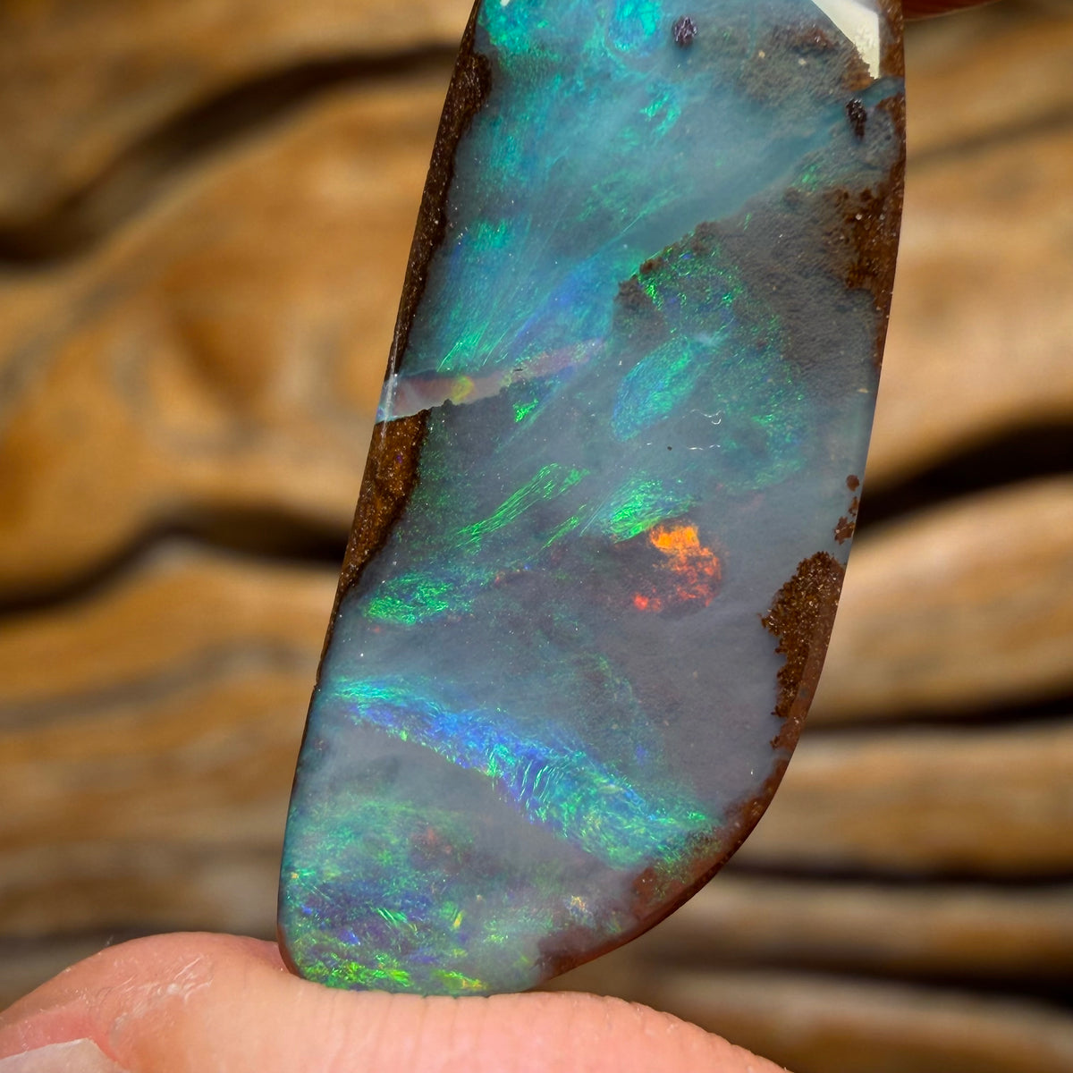 Bargain Card! 9.1cts - Australian Boulder Seam Opal from Winton