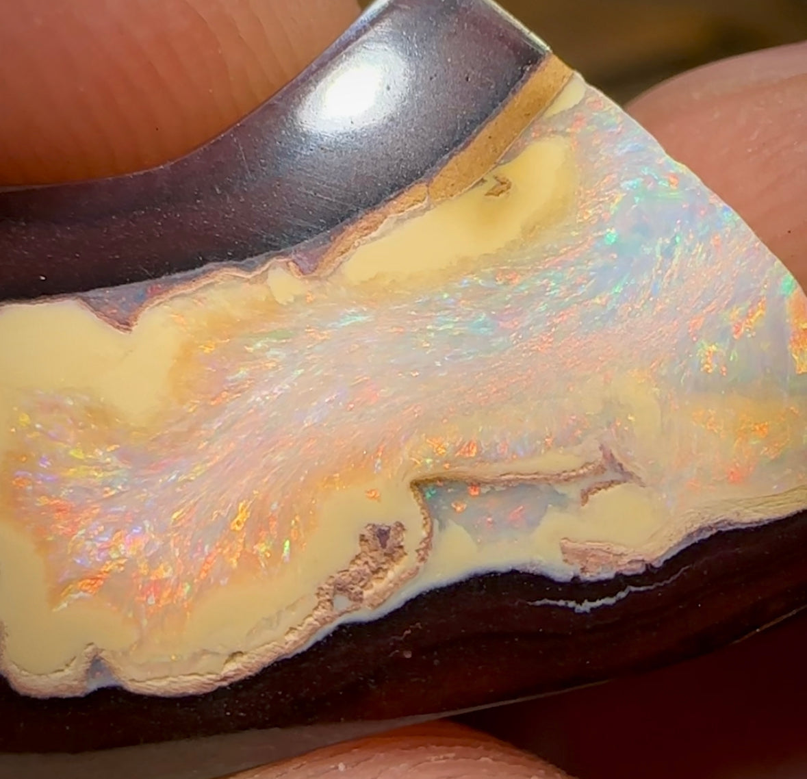 38.7cts - 2 Kernel Fish Yowah Nut Crystal Centre Pair. Heritage Collection - Opal Whisperers