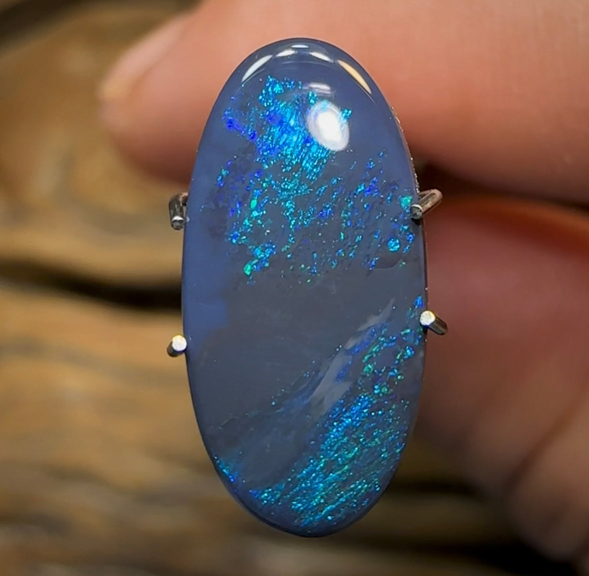 2.7cts - Solid Lightning Ridge Black Opal - Opal Whisperers