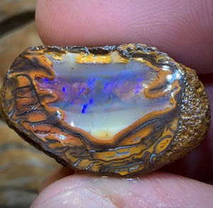 44.3cts - Yowah Nut Crystal Centre Rough Specimen