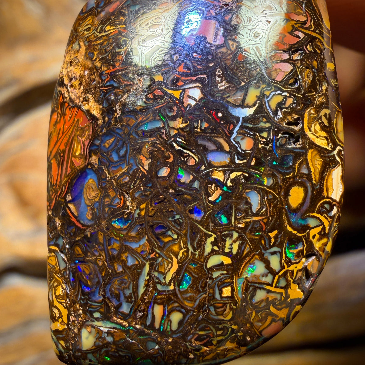 36 x 23mm - Drilled Tribal Queensland Boulder Opal Necklace