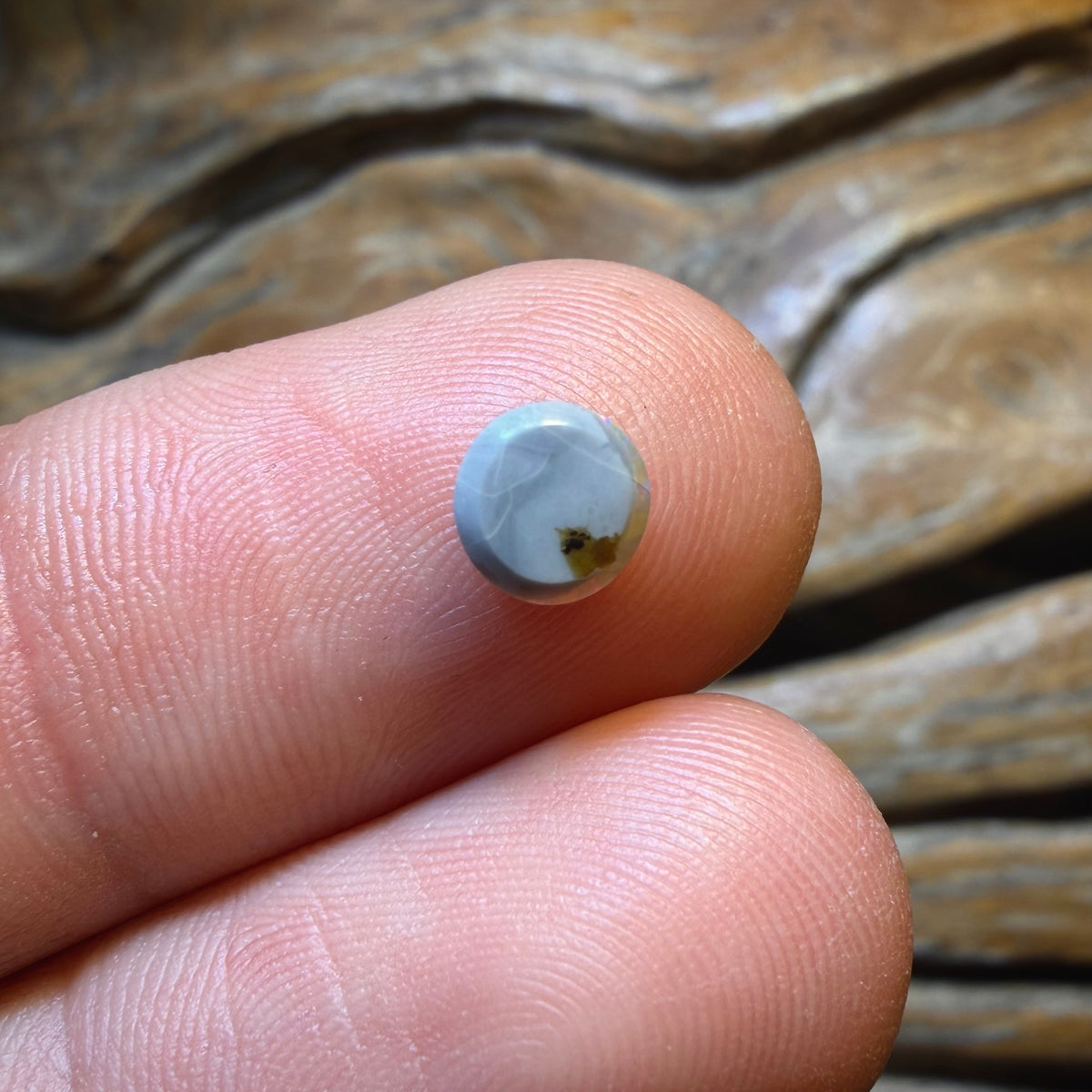 OpalFest Wildcard! 0.55cts - Dark Opal from Lightning Ridge