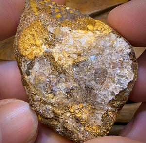 322.1cts - Rare Polished Tribal Yowah Nut Opal Geological Specimen with Gypsum