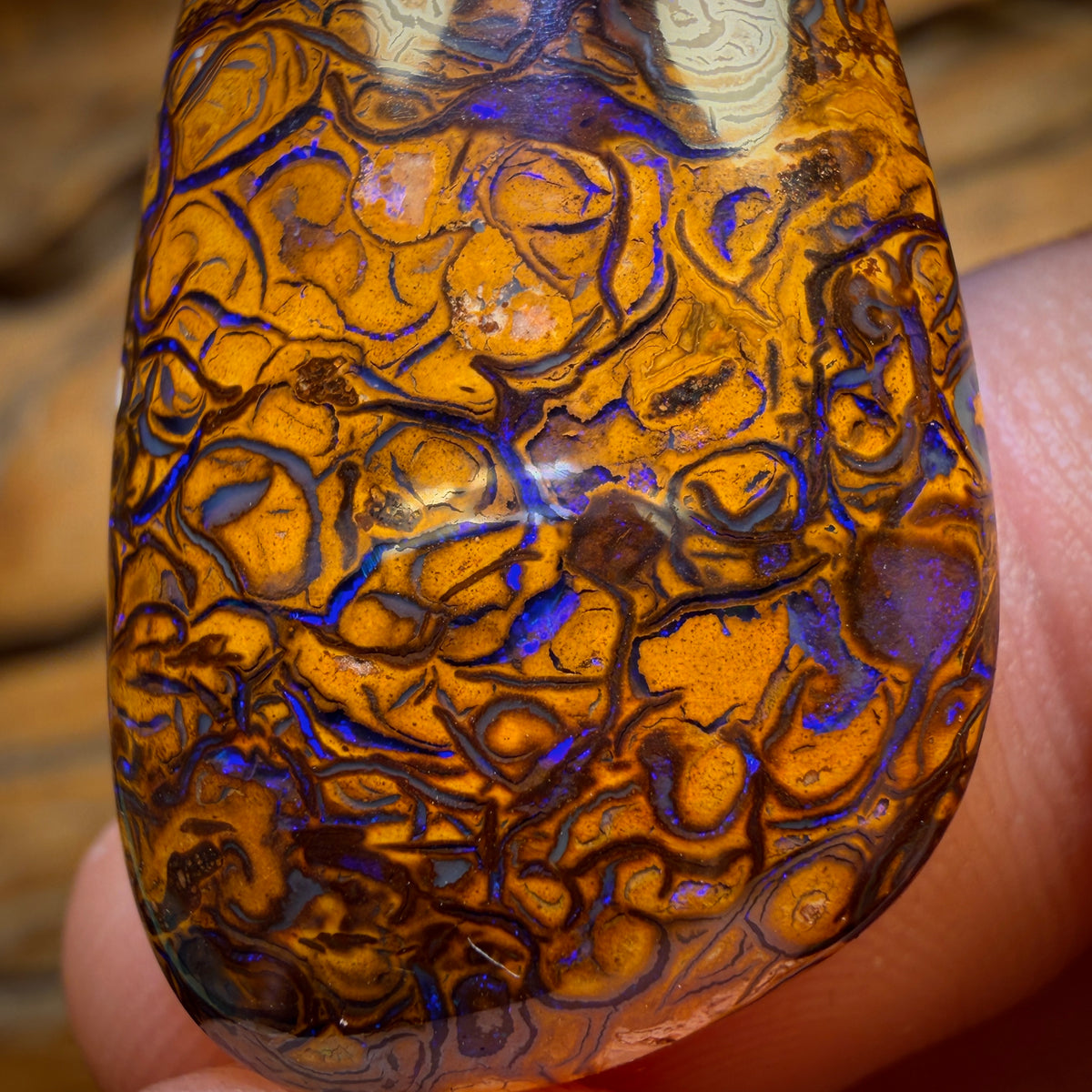 31.8cts - Tribal Queensland Boulder Opal from Yowah