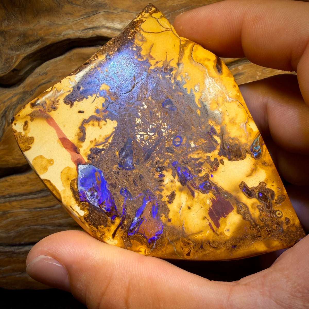 755.5cts - Vegetation Fossil Queensland Boulder Opal. Polished Specimen