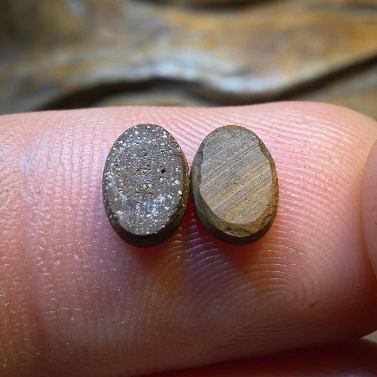 Wildcard! 1.15cts - Australian Boulder Opal Doublet Pair