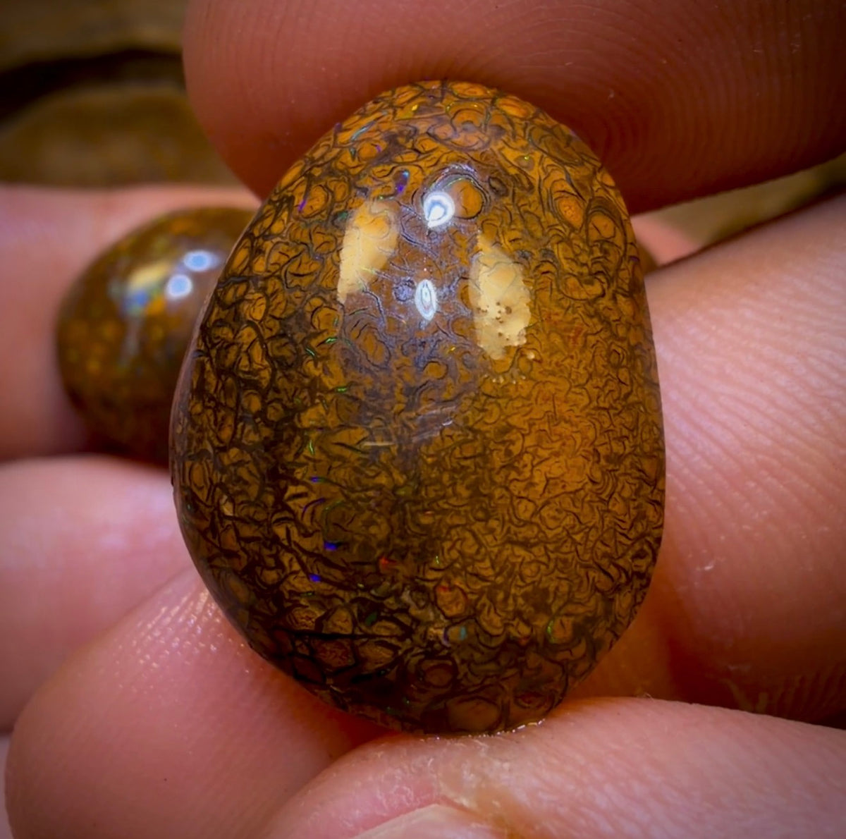 94.5cts- 4x Tribal Queensland Boulder Opal Rubs