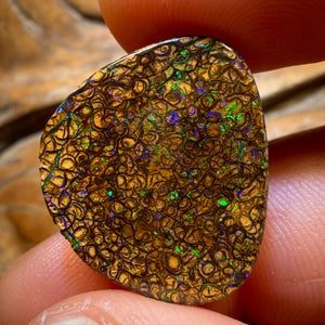 22.5cts - Tan Tribal Queensland Boulder Opal from Yowah