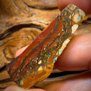 79.1cts - Tribal Yowah Nut Opal Rough Piece