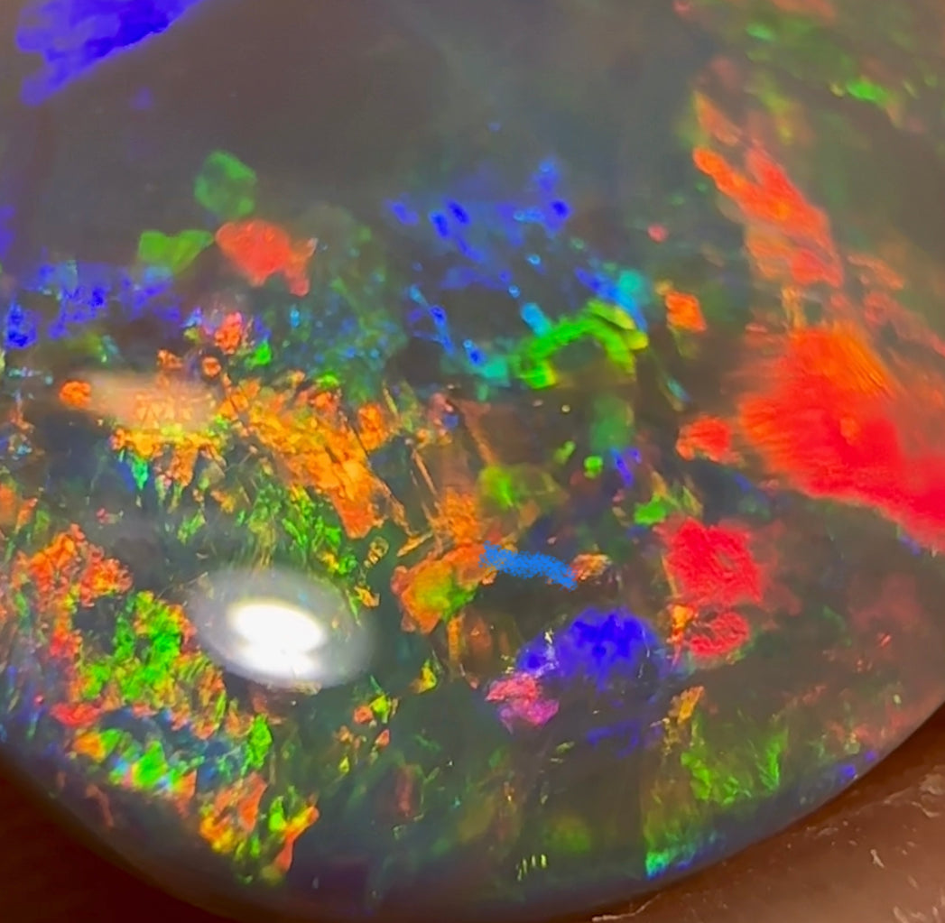 7.45cts - TOP Red Multi Large Red Semi Black Opal Investment Gem from Lightning Ridge - Opal Whisperers