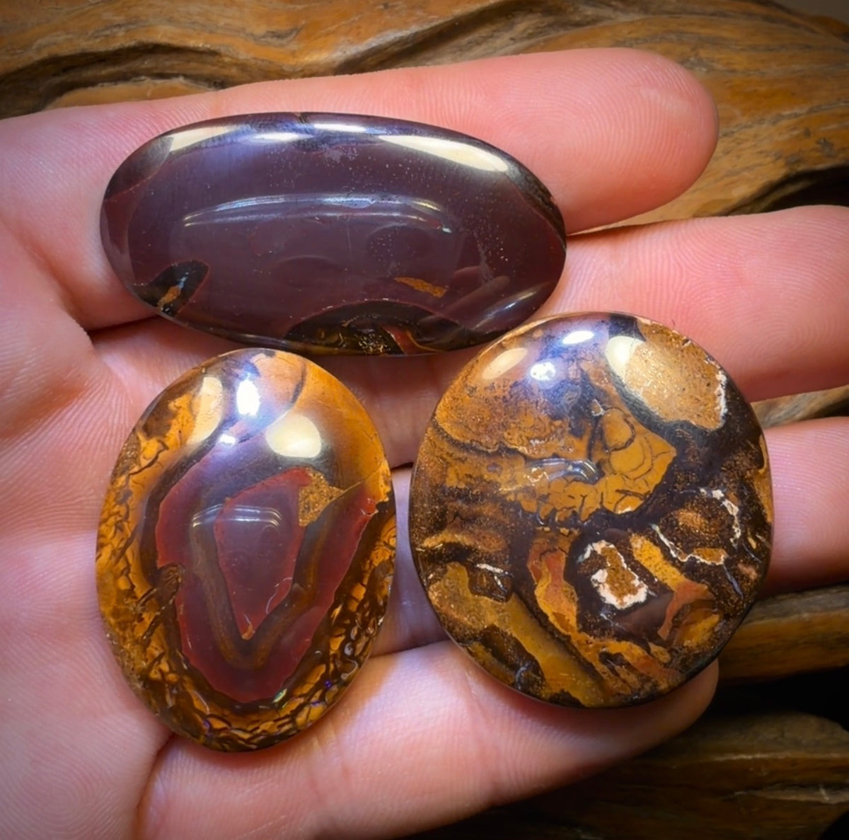 269.1cts - 3x Yowah Nut Opal’s. Wholesale Dealers Parcel