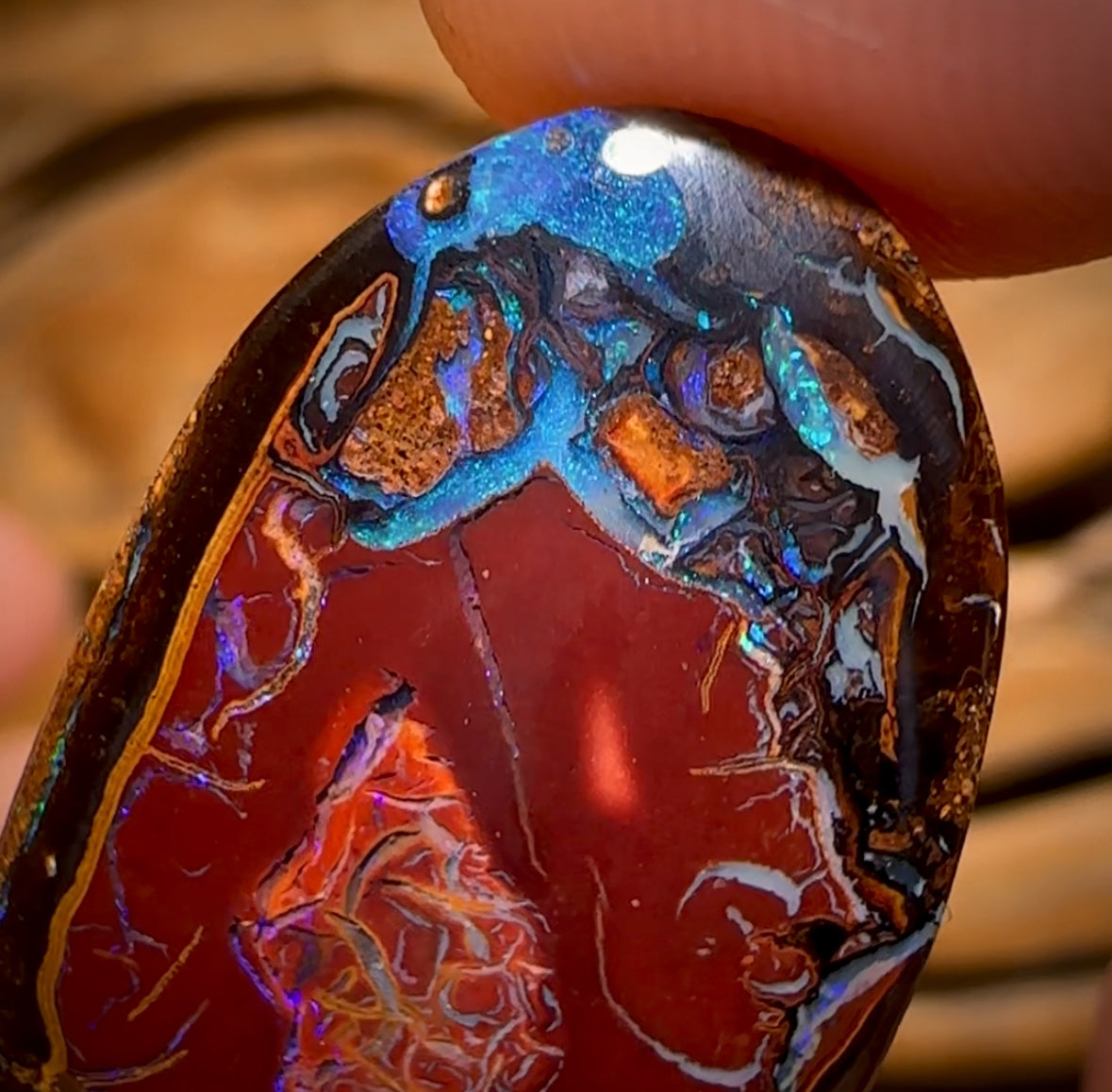 34.2cts - Tribal Queensland Boulder Opal Split and Polished Pair Double Sided