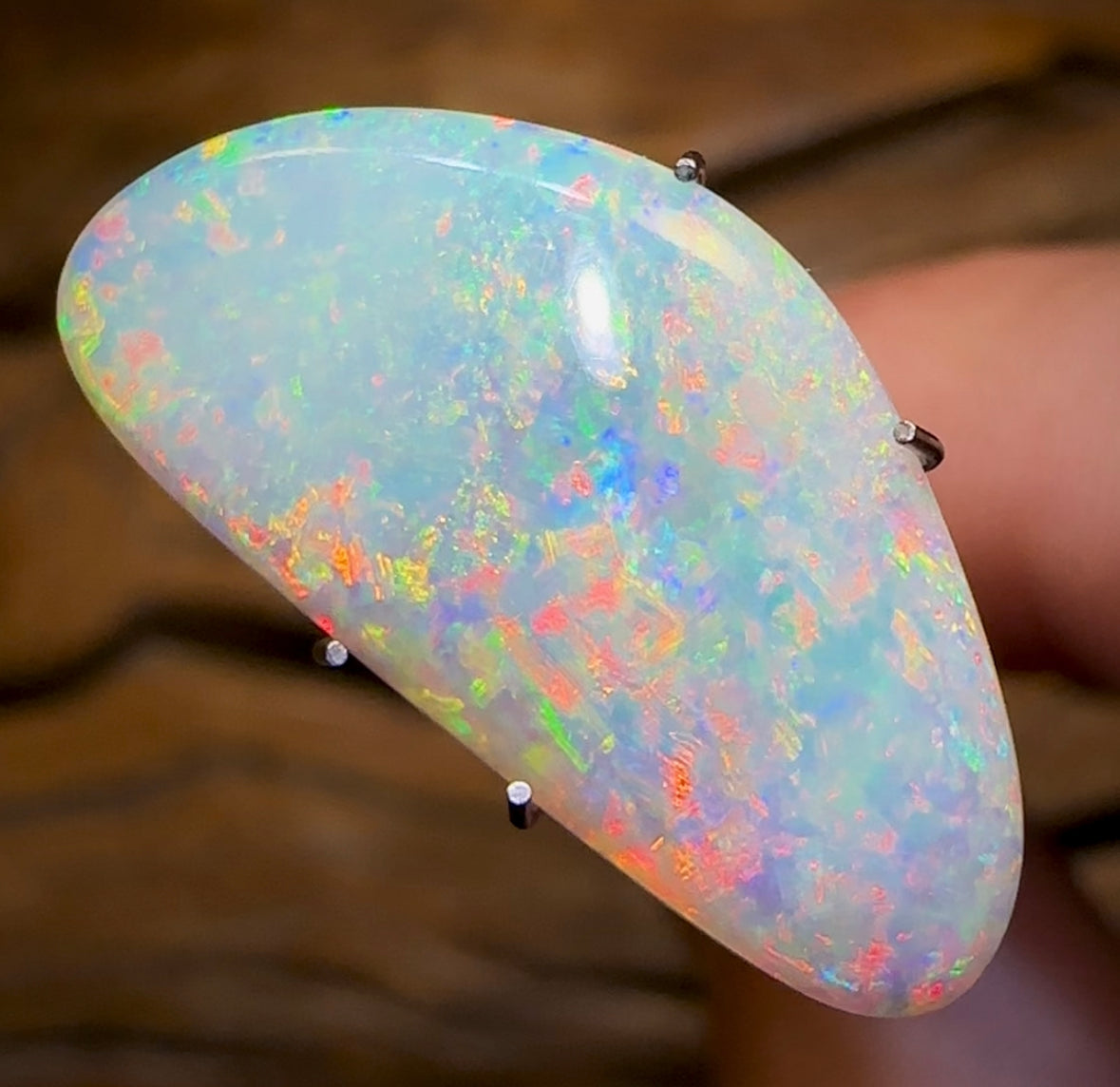 5.25cts - GEM QUALITY Lightning Ridge Crystal Opal - Opal Whisperers