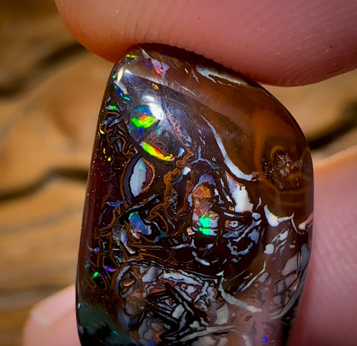 34.2cts - Tribal Koroit Nut. Dark Ironstone Bargain Black Boulder - Opal Whisperers
