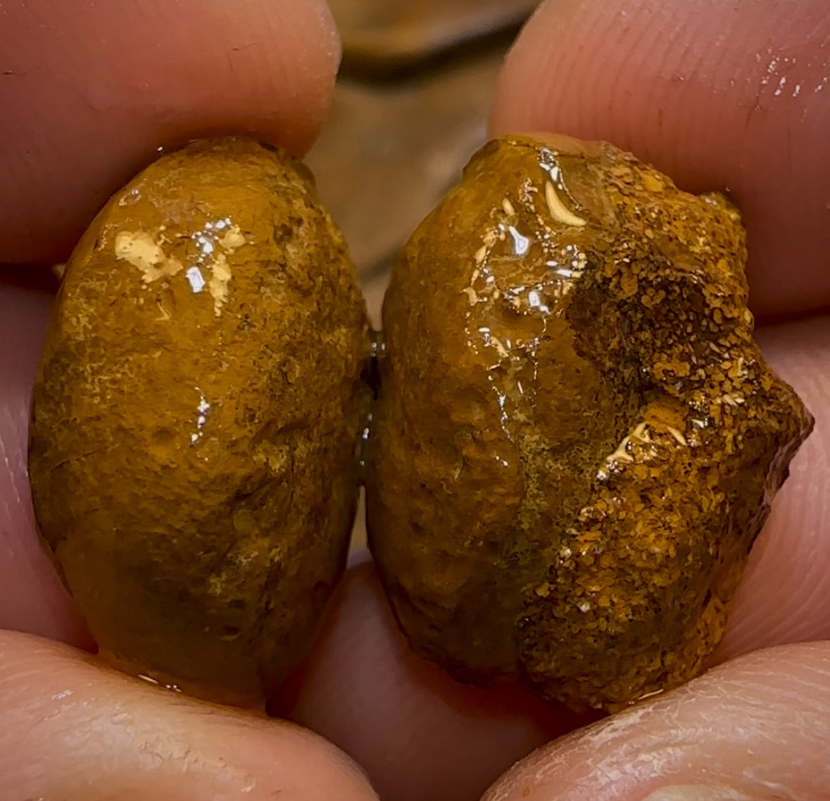 28.1cts - Yowah Nut Crystal Centre Rough Pair with Suspended Black Crystal Fire Highlights