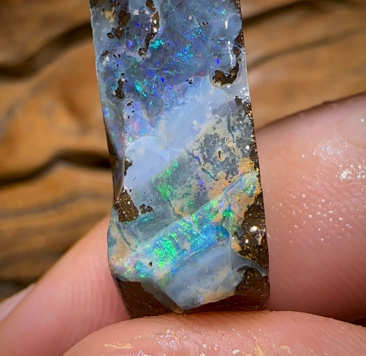 49.5cts - Australian Boulder Opal Rough Preform. Natural Split - Opal Whisperers