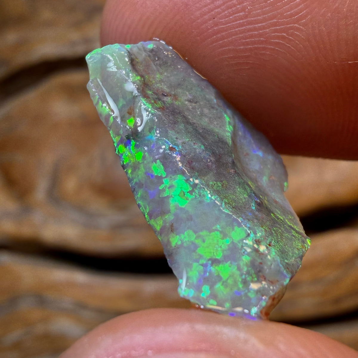 HDW 6.3cts - Lightning Ridge Dark Opal Rough Piece