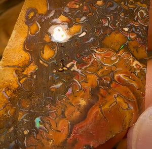 154cts -  Tribal Queensland Boulder Opal Rough Piece