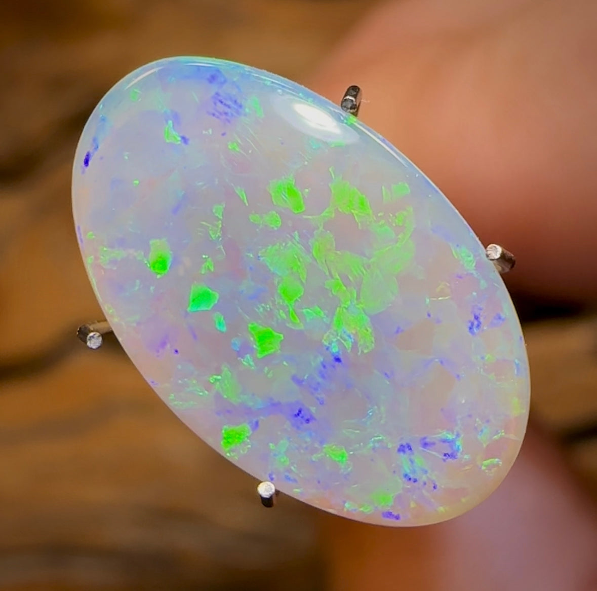 2.9cts - Lightning Ridge Light Opal. Gem Quality - Opal Whisperers