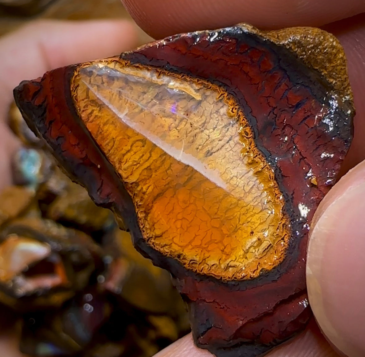 261.8g - 29x Yowah Nut Rough Pieces. Australian Opal With Kernel Crystal Centres. Less than $1/ct - Opal Whisperers